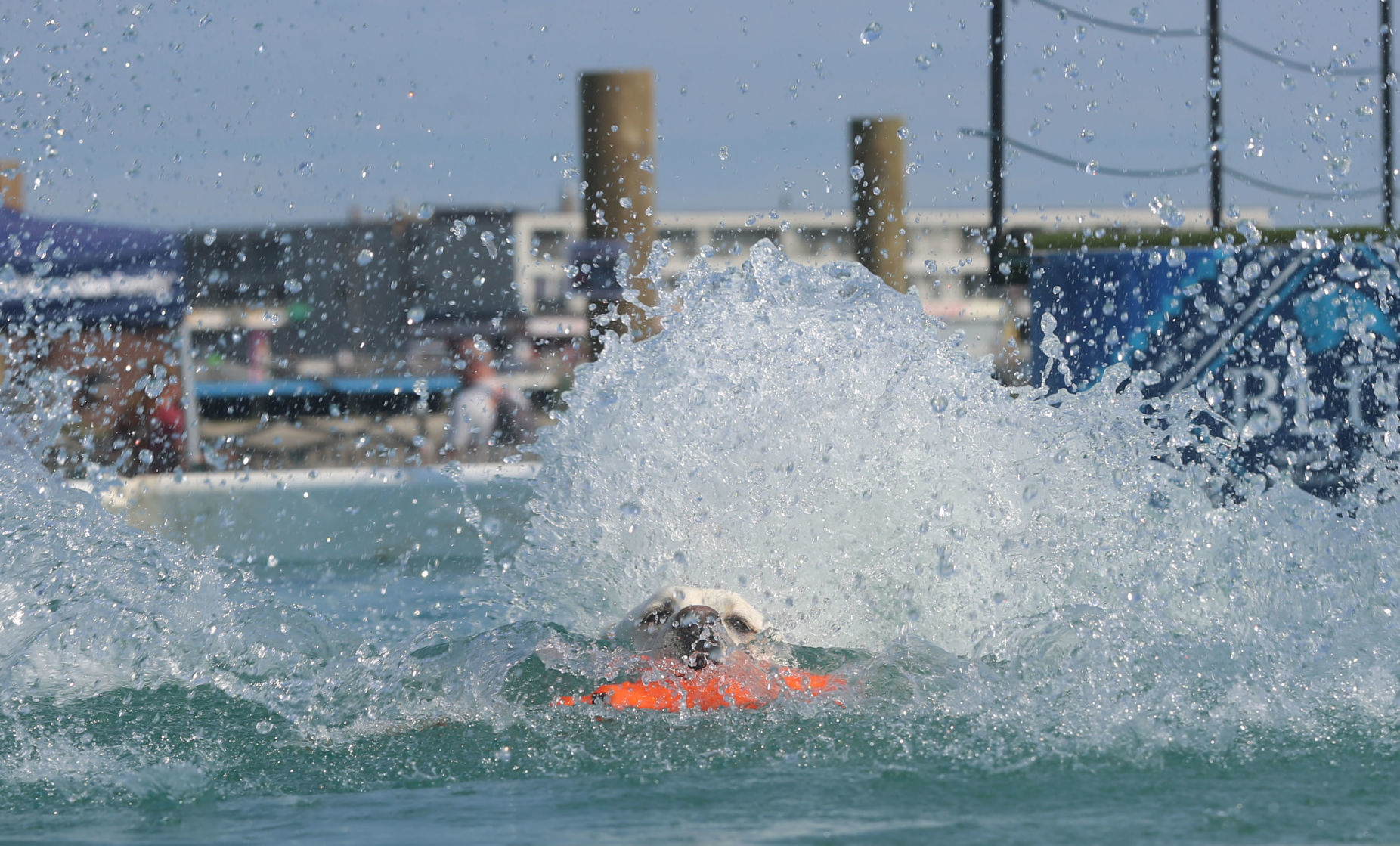 090919_gal_dockdogsWW (19)